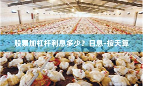 股票加杠杆利息多少？日息-按天算