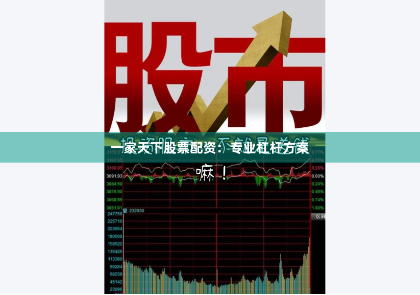 一家天下股票配资:专业杠杆方案